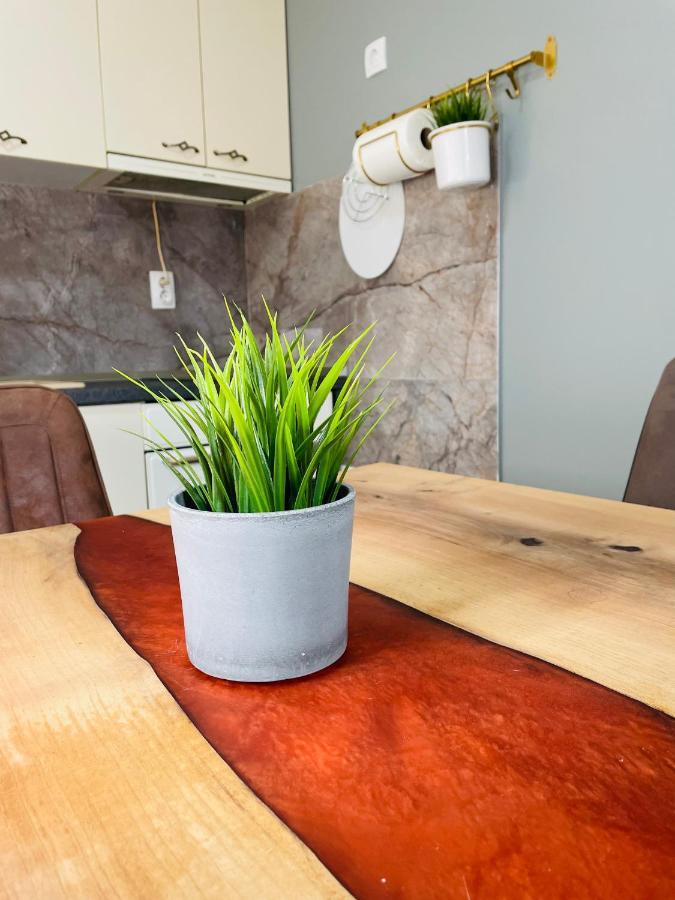 Muki Apartments Surčin Dış mekan fotoğraf